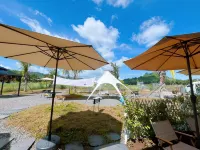 My Courtyard