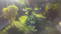 Bintang Wisata Riung Các khách sạn ở 