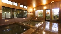 Hotel New Umeya Hotels in Joso
