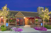 Holiday Inn Alexandria فنادق في Alexandria