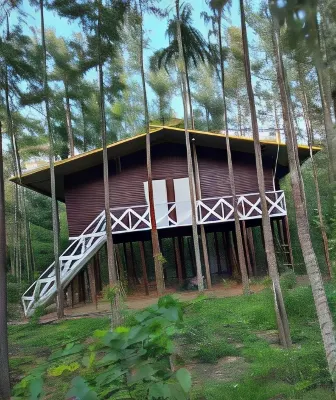 Deep Jungle Home Hotels in Nilgiris