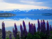Tailor Made Tekapo Accommodation - Guesthouse & Hostel Hotels in Lake Tekapo