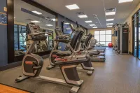 Hampton Inn Brighton Hotels in Brighton