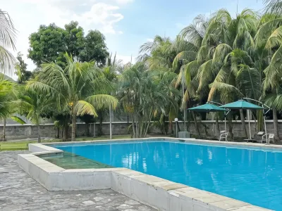 Palm Malinamoc Hotel のホテル