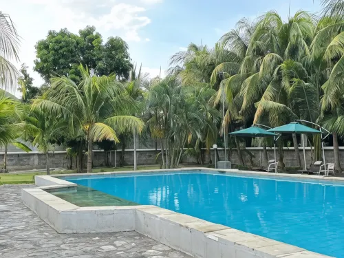 Palm Malinamoc Hotel Hotels in Dili