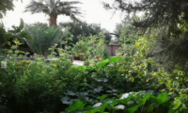 bassatine skoura Hotels in 