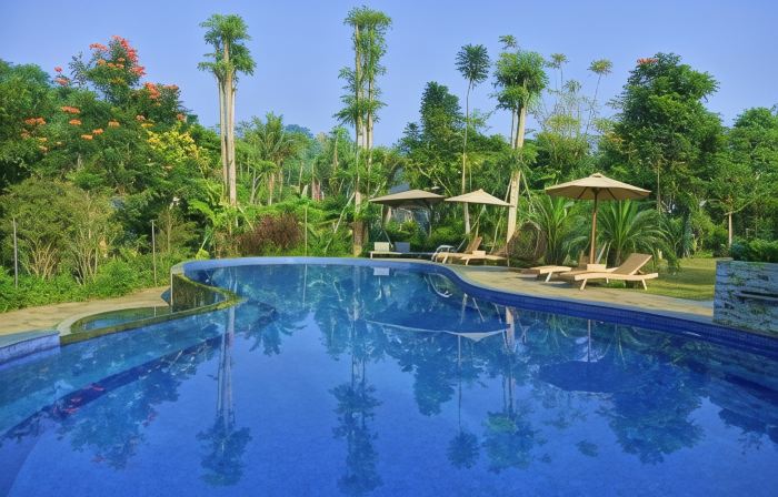 Sarga Earthing Resort