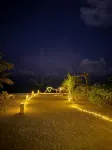 Pavona Maldives