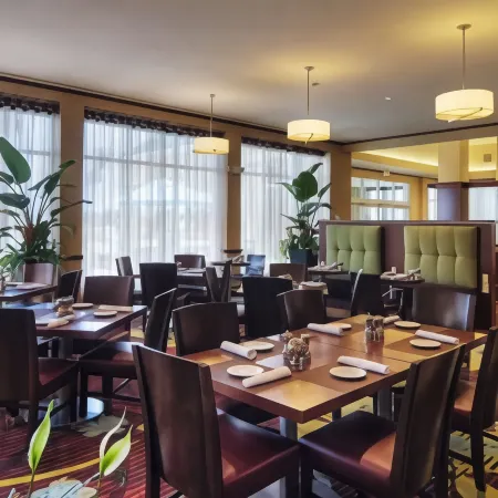 Hilton Garden Inn Houston-Pearland Отели в г. Перлэнд