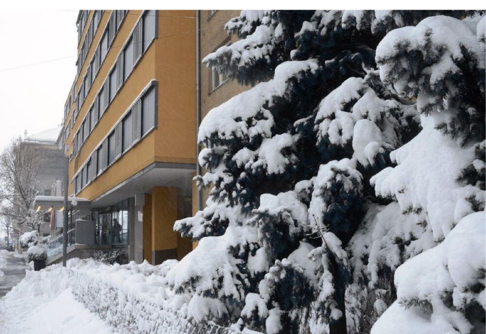 호텔 오랑제리 비엔나 객실