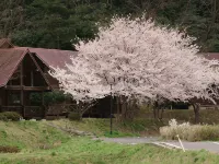 Hotel Uneri Hotel a Distretto di Oki