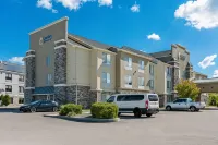 Comfort Inn & Suites Hotels in Berea
