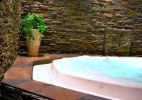 Dalecarlia Hotel  Spa, BW Premier Collection - Hot Springs