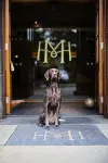 Meldrum House Hotel Golf and Country Estate - bar