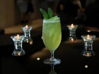 Novotel Vines Resort Swan Valley - bar