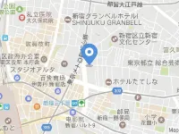 Via Inn Shinjuku Hotels near Ruby Palace Spa
