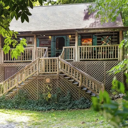 Roan Mountain Charming Cabin Hot Tub Close to Hiking Dogs Welcome