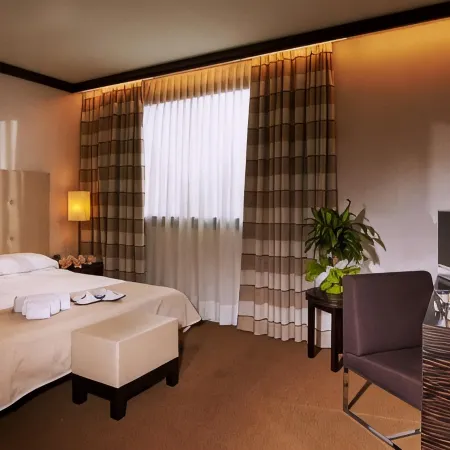 Hotel Pisa Valdera