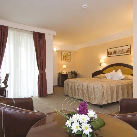 Hotel Ambient