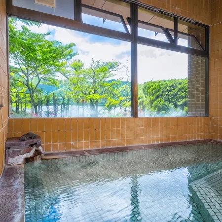 Forest Resort Sarugakyo Seikoso