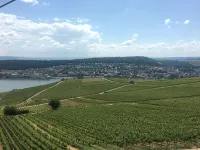 House on the vineyard / Weinberg #1