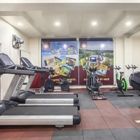 Arco Hotels and Resorts Srinagar