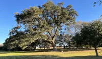 Modern Barndominium on 35 Quiet Acres 10 Miles from Round Top Antique Fair - Homestays