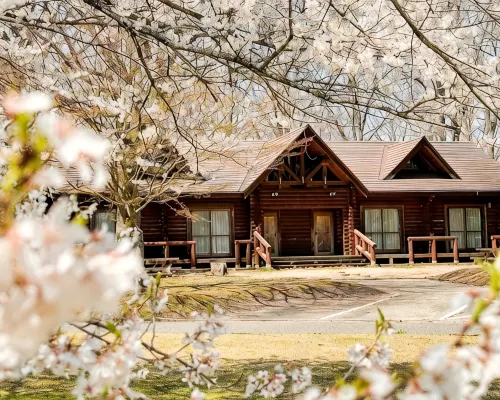 Kyukamura Taishakukyo Hotels in Shobara