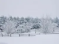 Olympic Mountain View Retreat on Serene Acreage! - Apartments