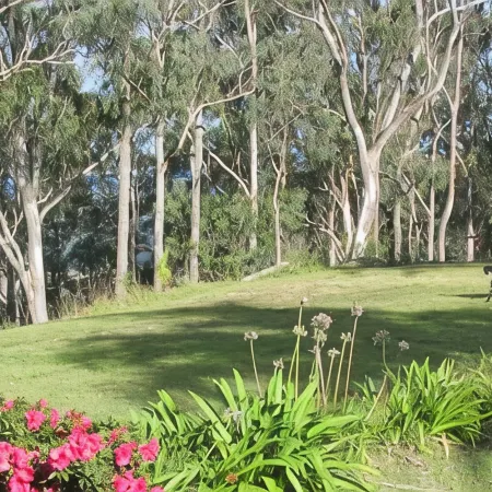 Hill Top Country Guest House