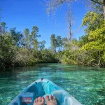 Quiet 2Br Coastal Getaway Near Pine Island Beach & Weeki Wachee - 4-Star