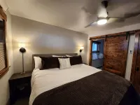 Newly Remodeled Old Town/2 King Suites/Pet Friendly/Deck/Grill/EV/Carport - 4 星級