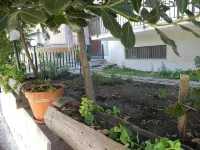 Affittacamere Bellavista - Homestays