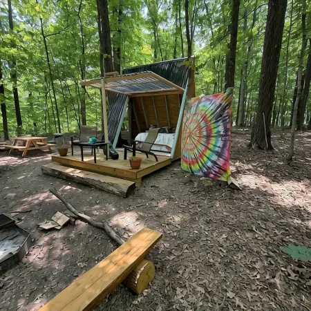 Charming A-frame cabin set in the woods overlooking deep wooded ravines.