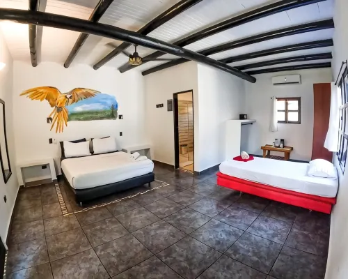 Dreamer Palomino Hotels in Dibulla