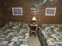 Buffalo Lodge, Secluded Log Cabin Near Buffalo National River - Hytter