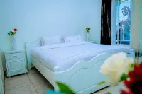 Zebra Domus Hotels in 