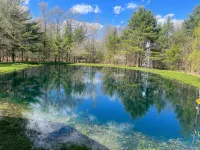 Charming 3-bedroom cabin with AC and WiFi in Neillsville - Alphydda