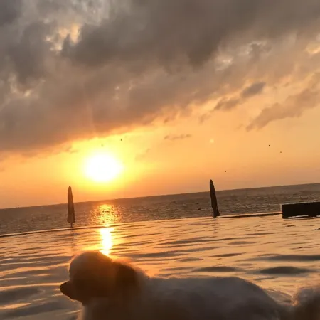 Koh Tao Hillside Resort