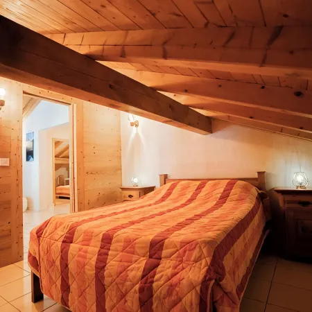Chalet 9 persons, near Linga gondola, with Wi-Fi - Chatel Reservation Hotels in Chatel