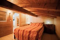 Chalet 9 persons, near Linga gondola, with Wi-Fi - Chatel Reservation - Familievenlig