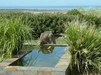 Tower Hill House Near Port Fairy, Beautiful Ocean Views, Nature Reserve, Pets OK - balcone