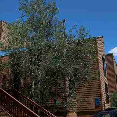 Great Condo with views of the Sherwin Ran. Close to Mammoth Mnt & Lakes Basin! Hotel Exterior