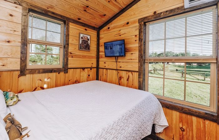 Tiny Cabin At The Pond