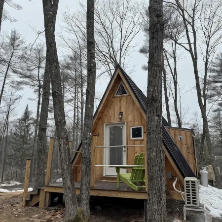 Sister A-Frame in Woods B