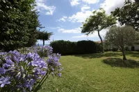 Apartamentos Quinta Mae Dos Homens - Dağ Manzaralı