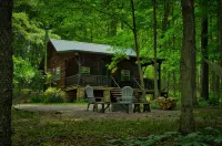 Cozy Cabin Among the Trees - Rustic Charm, Modern Comforts,  26 Secluded Acres - Hytter