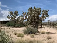 Stunning Views! Rustic cabin facing the base of Grand Canyon West - Chalets