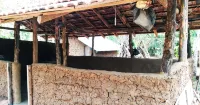 丹布拉阿拉里亞自助烹飪度假村 - SPA