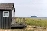 Driftwood Studio Beachfront cottage right in the Dunes - Wifi